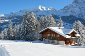 Chalet Meiseli